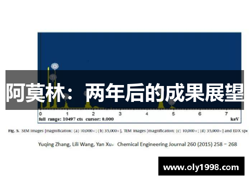 阿莫林：两年后的成果展望